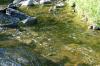 <img100*0:stuff/z/169023/RS2/i1279755208_12.jpg>