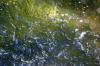 <img100*0:stuff/z/169023/RS2/i1279755208_13.jpg>