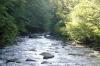 <img100*0:stuff/z/169023/RS2/i1279755208_14.jpg>
