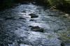 <img100*0:stuff/z/169023/RS2/i1279755208_16.jpg>
