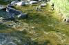 <img100*0:stuff/z/169023/RS2/i1279755208_17.jpg>