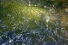 <img100*0:stuff/z/169023/RS2/i1279755208_18.jpg>