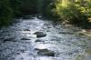 <img100*0:stuff/z/169023/RS2/i1279755208_19.jpg>