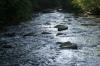 <img100*0:stuff/z/169023/RS2/i1279755208_20.jpg>