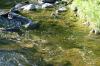 <img100*0:stuff/z/169023/RS2/i1279755208_22.jpg>