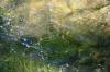 <img100*0:stuff/z/169023/RS2/i1279755208_23.jpg>