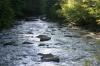 <img100*0:stuff/z/169023/RS2/i1279755208_24.jpg>