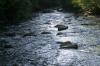 <img100*0:stuff/z/169023/RS2/i1279755208_25.jpg>
