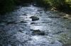 <img100*0:stuff/z/169023/RS2/i1279755208_3.jpg>