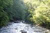 <img100*0:stuff/z/169023/RS2/i1279755208_4.jpg>