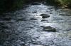 <img100*0:stuff/z/169023/RS2/i1279755208_6.jpg>