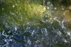 <img100*0:stuff/z/169023/RS2/i1279755208_8.jpg>