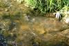 <img100*0:stuff/z/169023/RS2/i1279755209_28.jpg>