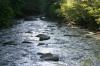 <img100*0:stuff/z/169023/RS2/i1279755209_29.jpg>