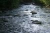 <img100*0:stuff/z/169023/RS2/i1279755209_30.jpg>