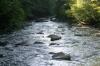 <img100*0:stuff/z/169023/RS2/i1279755209_31.jpg>