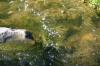 <img100*0:stuff/z/169023/RS2/i1279755209_33.jpg>