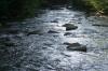 <img100*0:stuff/z/169023/RS2/i1279755209_35.jpg>