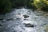 <img100*0:stuff/z/169023/RS2/i1279755209_36.jpg>