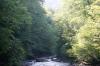 <img100*0:stuff/z/169023/RS2/i1279755209_39.jpg>