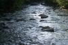 <img100*0:stuff/z/169023/RS2/i1279755209_40.jpg>