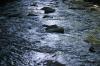 <img100*0:stuff/z/169023/RS2/i1279755209_41.jpg>