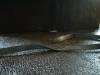 <img100*0:stuff/z/169023/Ribbons/i1255995045_28.jpg>