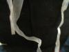 <img100*0:stuff/z/169023/Ribbons/i1255995045_30.jpg>