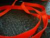 <img100*0:stuff/z/169023/Ribbons/i1255995045_33.jpg>