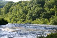 <img200*0:stuff/z/169023/River%2520Stock/i1279572262_4.jpg>