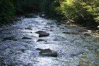 <img200*0:stuff/z/169023/River%2520Stock/i1279572262_5.jpg>