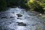 River Stock