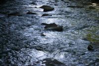 <img200*0:stuff/z/169023/River%2520Stock/i1279572263_10.jpg>