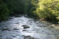 <img200*0:stuff/z/169023/River%2520Stock/i1279572263_11.jpg>