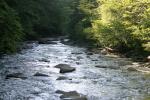 <img:stuff/z/169023/River%2520Stock/i1279572263_11.jpg?y=100>