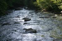 <img200*0:stuff/z/169023/River%2520Stock/i1279572263_12.jpg>