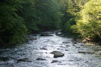 <img200*0:stuff/z/169023/River%2520Stock/i1279572263_13.jpg>