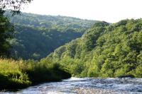 <img200*0:stuff/z/169023/River%2520Stock/i1279572263_14.jpg>