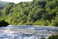 <img200*0:stuff/z/169023/River%2520Stock/i1279572263_15.jpg>