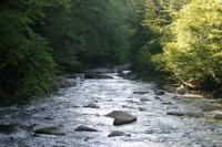 <img200*0:stuff/z/169023/River%2520Stock/i1279572263_7.jpg>