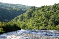 <img200*0:stuff/z/169023/River%2520Stock/i1279572263_8.jpg>