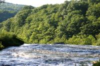<img200*0:stuff/z/169023/River%2520Stock/i1279572263_9.jpg>