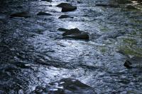 <img200*0:stuff/z/169023/River%2520Stock/i1279572264_16.jpg>