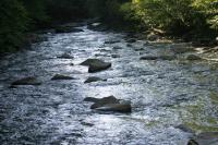 <img200*0:stuff/z/169023/River%2520Stock/i1279572264_18.jpg>