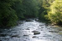 <img200*0:stuff/z/169023/River%2520Stock/i1279572264_19.jpg>