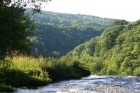 <img200*0:stuff/z/169023/River%2520Stock/i1279572264_20.jpg>
