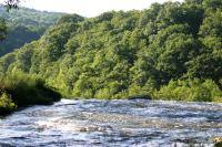 <img200*0:stuff/z/169023/River%2520Stock/i1279572264_21.jpg>