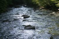 <img200*0:stuff/z/169023/River%2520Stock/i1279572264_24.jpg>