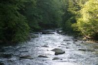 <img200*0:stuff/z/169023/River%2520Stock/i1279572264_25.jpg>