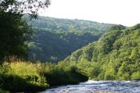<img200*0:stuff/z/169023/River%2520Stock/i1279572265_26.jpg>